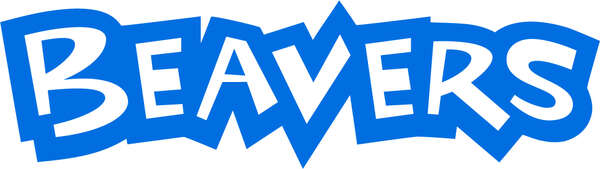 beaver_rgb_blue